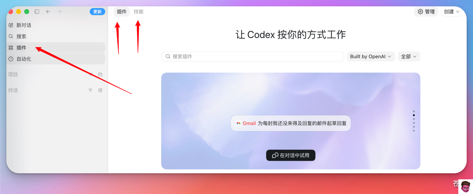 Skills 与插件入口示例