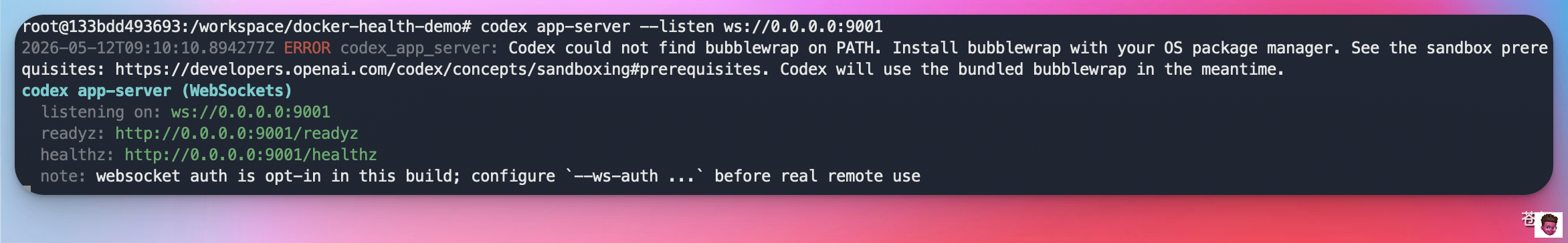 image-20260512173352946